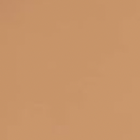 Revlon PhotoReady Candid Natural Finish Anti-Pollution Foundation