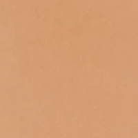 Revlon PhotoReady Candid Natural Finish Anti-Pollution Foundation