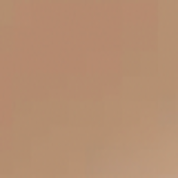 L’Oréal Paris True Match Foundation