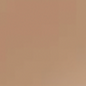 L’Oréal Paris True Match Foundation