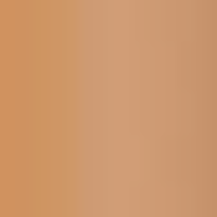 L’Oréal Paris True Match Foundation