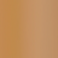 L’Oréal Paris True Match Foundation