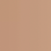 L’Oréal Paris True Match Foundation