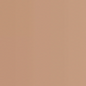 L’Oréal Paris True Match Foundation
