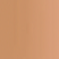 L’Oréal Paris True Match Foundation