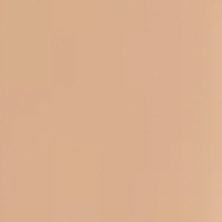 L’Oréal Paris True Match Foundation