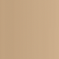 L’Oréal Paris True Match Foundation